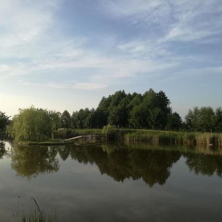 Gartatowice Agrowczasy Nad Stawemヴィラ エクステリア 写真