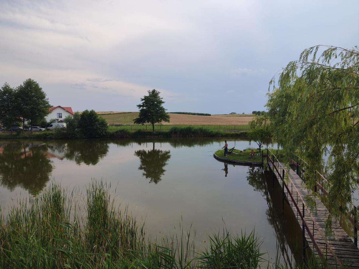 Gartatowice Agrowczasy Nad Stawemヴィラ エクステリア 写真