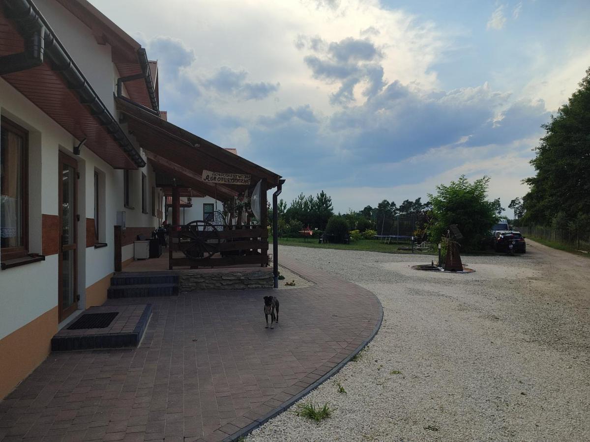 Gartatowice Agrowczasy Nad Stawemヴィラ エクステリア 写真