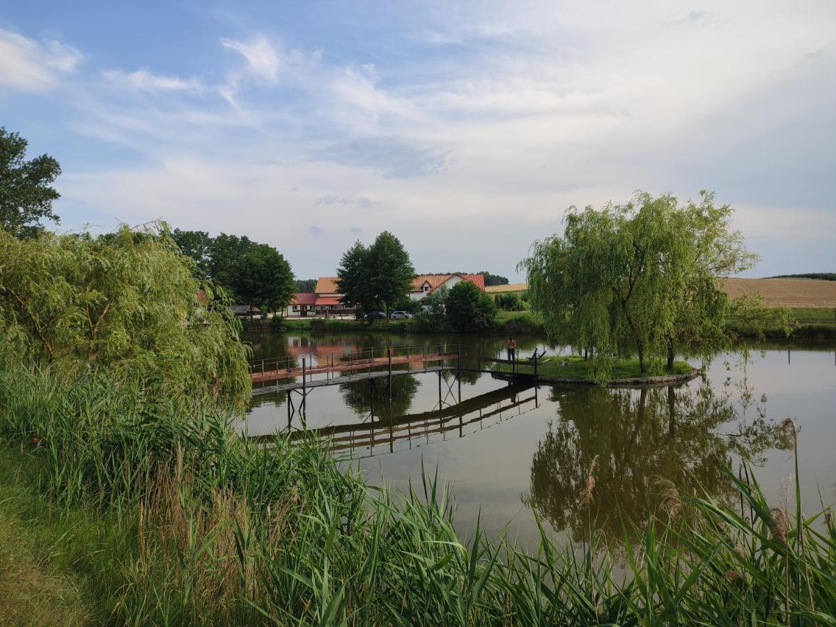 Gartatowice Agrowczasy Nad Stawemヴィラ エクステリア 写真